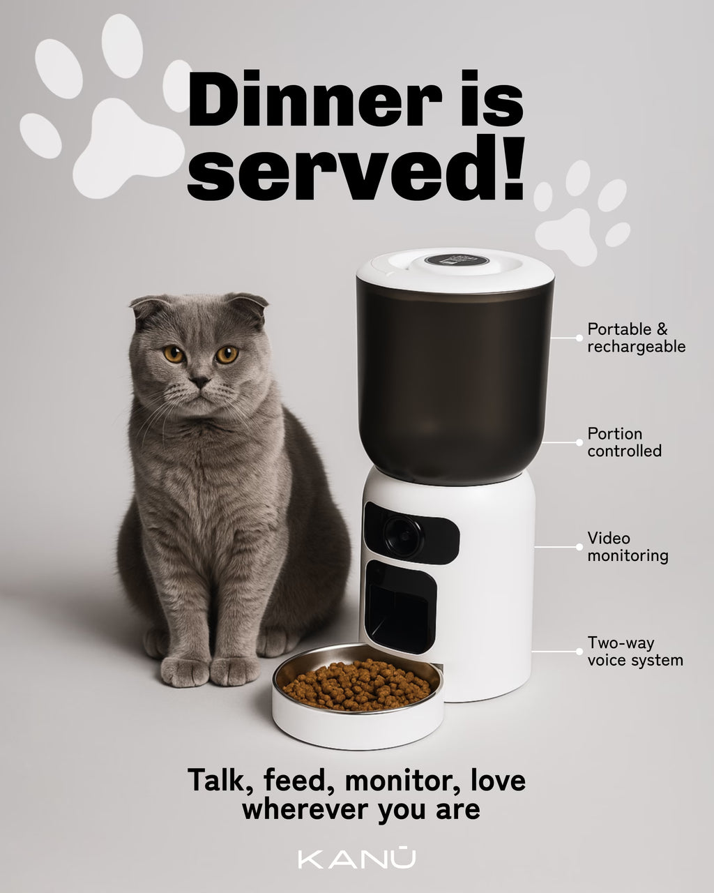 Paw Cast Feeder