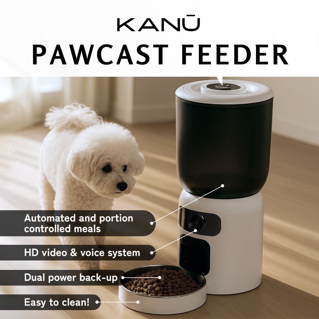 Paw Cast Feeder